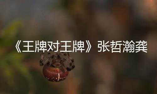 俊牌对牌龚俊张哲瀚在哪张哲瀚龚期有王王牌王牌一期对王第几