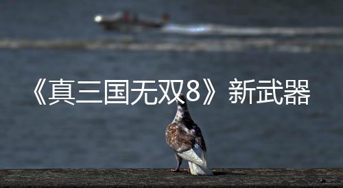 真转锤新武器昊无双演示三国视频