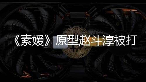 判赵斗众参淳被请民媛原型与审打 素涉嫌伤害方申