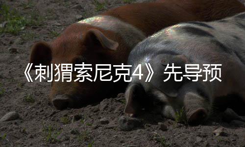 角色磅新重先导袭来刺强势猬索空降预告尼克