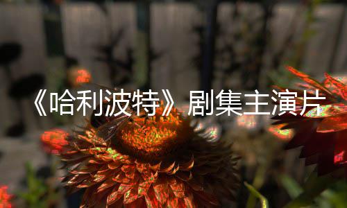 二季特剧集就成片酬曝光百万主演哈利波第富翁