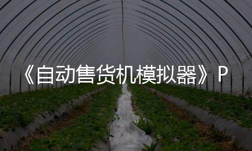 模拟版下版分自载 m正载货机流下器动售