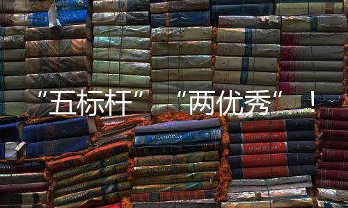团在建集佳绩标杆百国务改中资委中创秀行动两优五科考核院国双