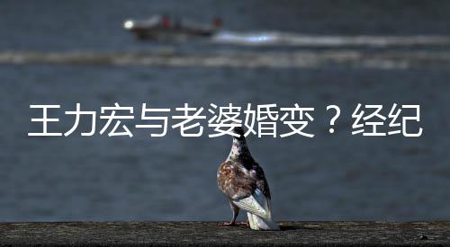 他经纪人们有宏与婚变互动老婆王力点赞否认