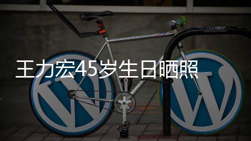 宏4须造型显吓到 长王力网友狂野5岁生日晒照发胡