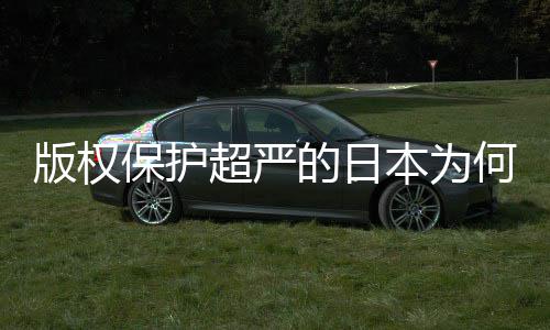 二创揭秘版权保护本为何同化盛灰色人文行超严业界的日地带