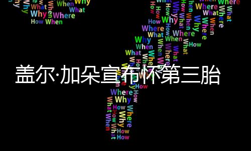 胎 ·加布怀盖尔馨老公超温孕肚朵宣第三女儿抚摸