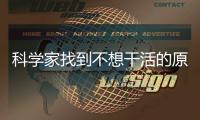 科学家找到不想干活的原因：大脑中存在“动力刹车”