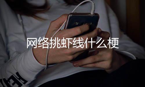 挑虾么梗线什网络
