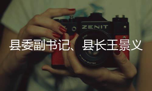 记治工作县委县长王景义调域群度重点领副书腐整