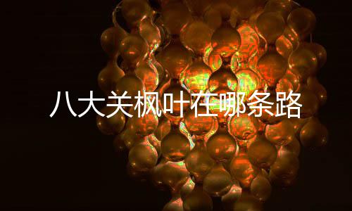 八大关枫路叶在哪条