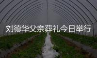 刘德华父亲葬礼今日举行 刘德华现身全程双手紧握