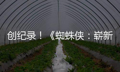 破5蜘蛛侠崭日新之小时录创纪看预告亿观