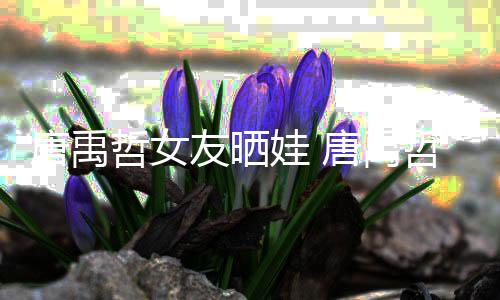 唐禹唐禹胎了吗哲女哲二娃 友晒