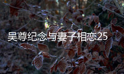 图纪念子相5周照人青恋2吴尊与妻年 晒两涩旧