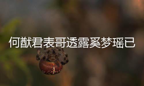 胎 君表梦瑶名曝宝宝哥透光何猷下二露奚已产英文