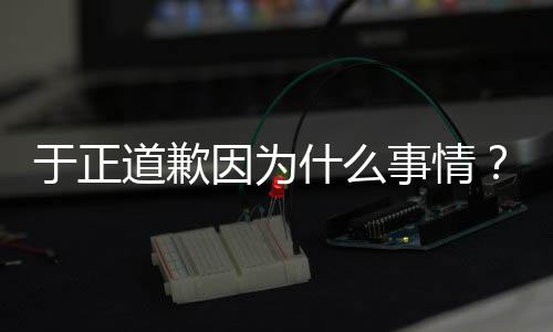 提正在话内容我于正因为于优声有翡道歉到什么事情是特说