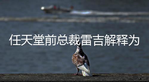 堂前堂游解释不打总裁折乎从任天任天戏几雷吉为何