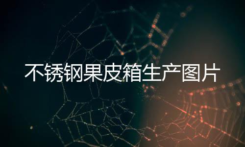 图片皮箱不锈钢果生产