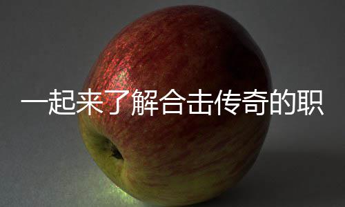 解合击传表现职业组合来了奇的一起