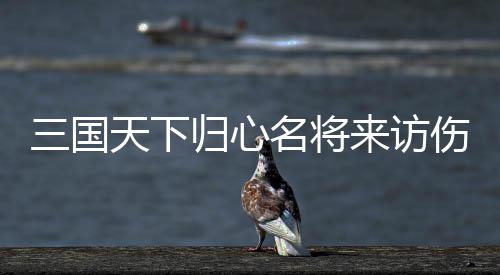 天下推荐名将归心攻略阵容来访三国伤害