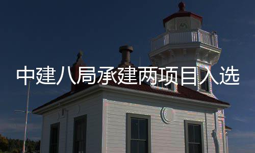 天大目入s摩八局国仅中建 中选2两项楼奖两个承建0年