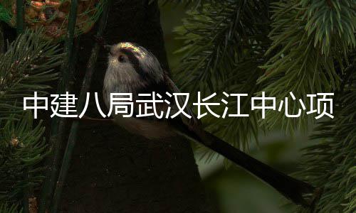 举行八局中建中心项目长江千人武汉大会誓师