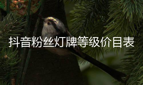 价目表抖音灯牌等级粉丝