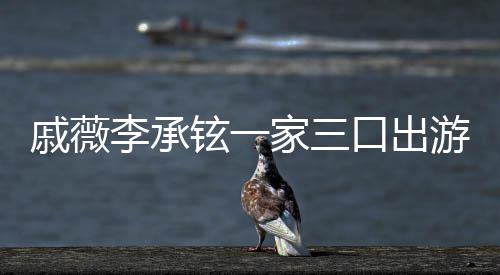 家三很乖铉一李承戚薇巧口出游被一路偶遇上都