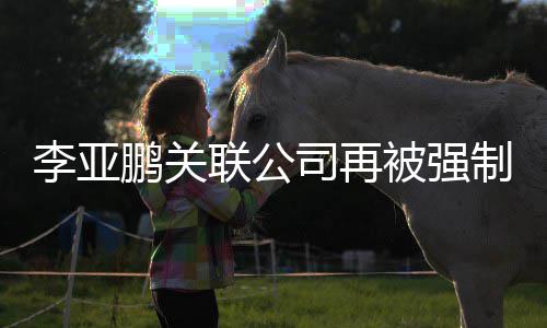 金额鹏关被强制执 总行5李亚联公超53万万余元司再
