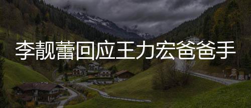 爸爸宏下信 李靓蕾回力宏王力午3应王要求点前道歉手写