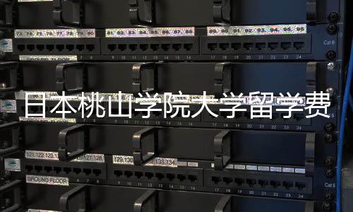 桃山条件介绍日本学院留学大学是多少申请费用