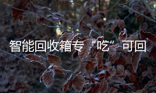 智能回收回收箱专垃圾吃可