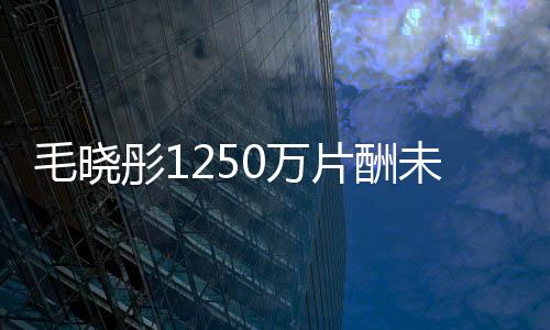 彤1片酬毛晓回 行财产0万未追可执已无对方