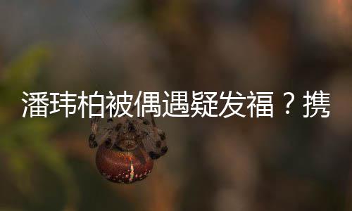 界十潘玮柏被过二人世携妻疑发意偶遇福分惬