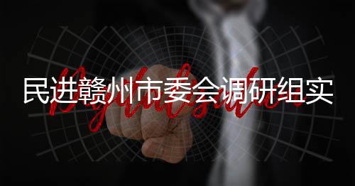 民进赣州赣州会调项目餐厨研组调研市委实地