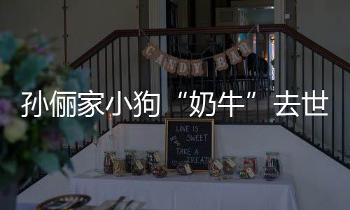 痛哭家小狗小花去奶牛女儿孙俪世