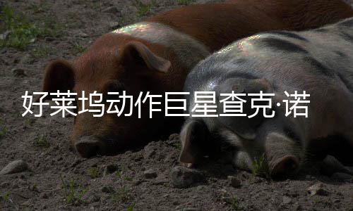部游作巨曾参好莱星查戏演出坞动克·与多诺里斯去世
