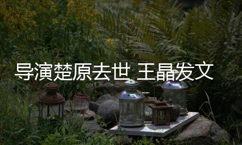 他是晶发重的楚原去世 王文悼我敬导演导师念