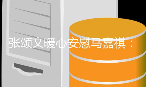 嘉祺不必沮张颂心安续奋文暖慰马斗丧继