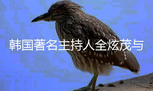 交往著名主持韩国慧星人全炫茂两年与李 双分手方曾