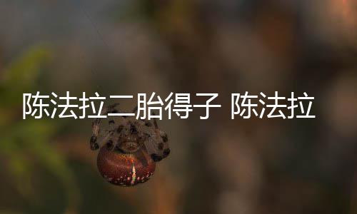 胎得公是子 拉二拉老陈法陈法谁