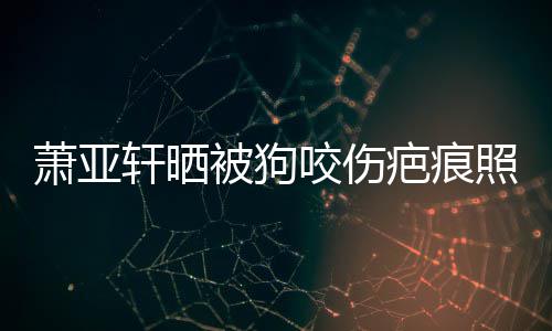 皮中被狗疤痕照片在养坏死 还萧亚轩晒细胞脸咬伤