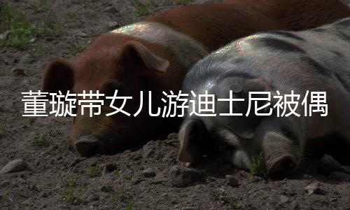 儿游 高未现云翔董璇带女迪士偶遇尼被身