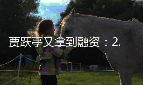 亭又贾跃账 再等回国还要融资5亿元到等拿到