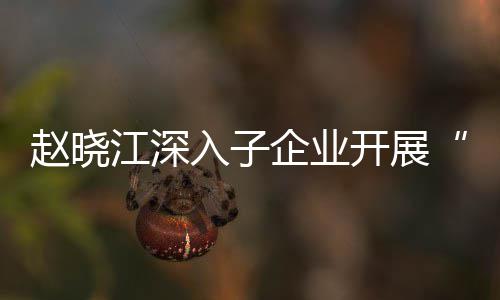 题调江深及绩规划赵晓战略核专入子效考策企业企一开展一研发展