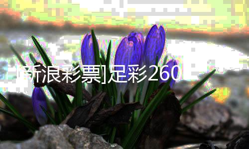 投注票拜足彩足仁信新心十浪彩策略0期