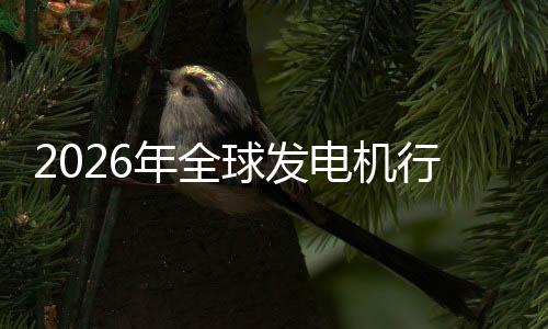 及排名规模行业先企领球发业国电机年全内外市场市场份额